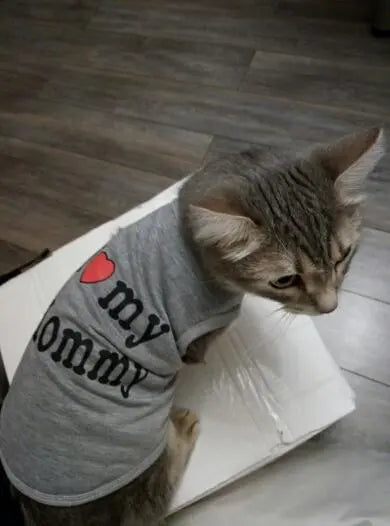 Pull pour chat I love Mommy Daddy - Vraiment-chat