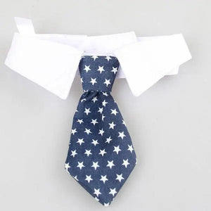 Cravate pour Chat - Vraiment-chat