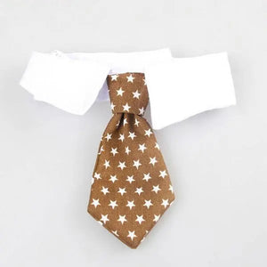 Cravate pour Chat - Vraiment-chat