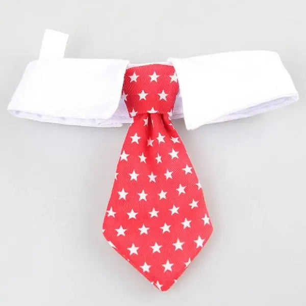 Cravate pour Chat - Vraiment-chat