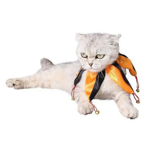 Collier de Clown pour Chat - Vraiment-chat