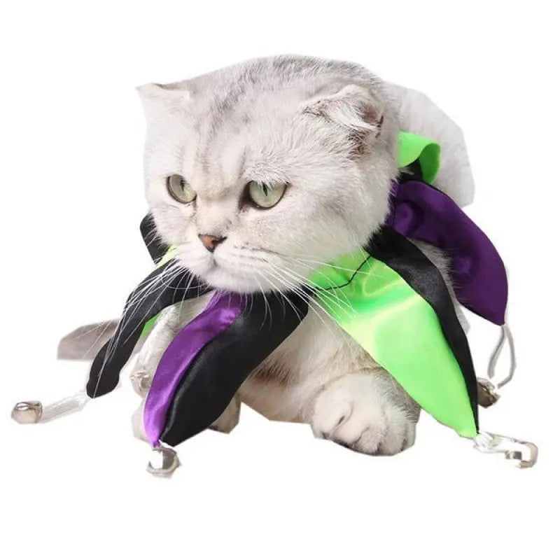 Collier de Clown pour Chat - Vraiment-chat
