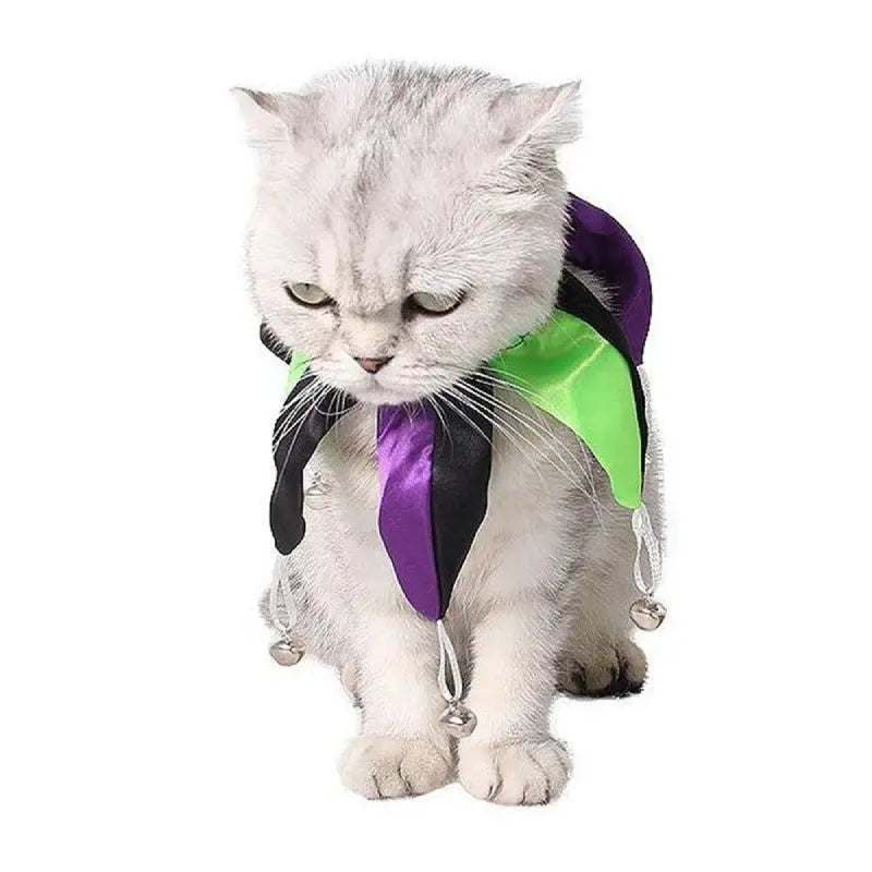 Collier de Clown pour Chat - Vraiment-chat
