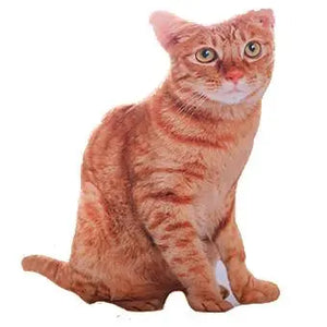 Coussin Chat Orange Réaliste - Vraiment-chat
