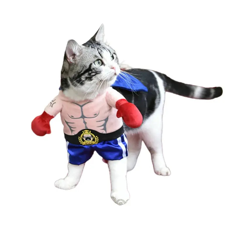 Déguisement de Chat Boxeur - Vraiment-chat