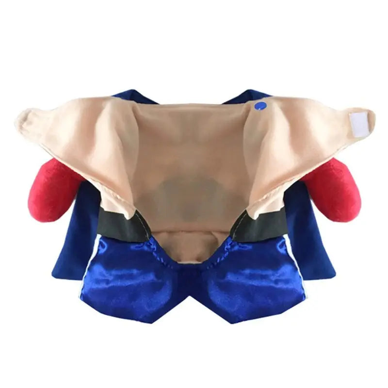 Déguisement de Chat Boxeur - Vraiment-chat