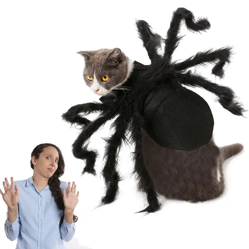 Déguisement pour Chat Halloween - Vraiment-chat
