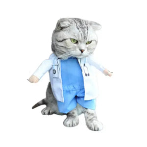 Déguisement Chat Blanc Docteur - Vraiment-chat