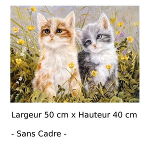 Peinture par Numéro Chat Roux et Gris - Vraiment-chat