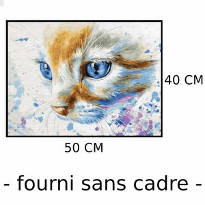 Peinture par Numéro Chat Blanc aux yeux bleus - Vraiment-chat