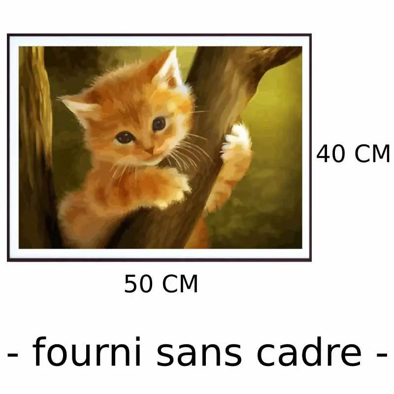 Peinture par Numéro Chaton Roux - Vraiment-chat