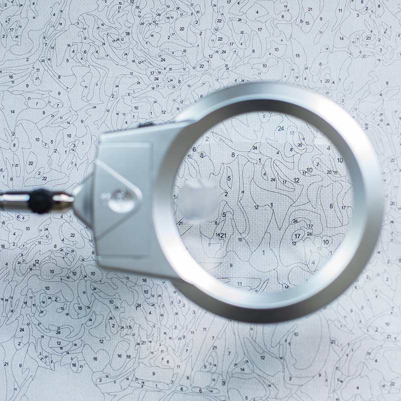 Peinture par numéro Chat qui pêche - Vraiment-chat