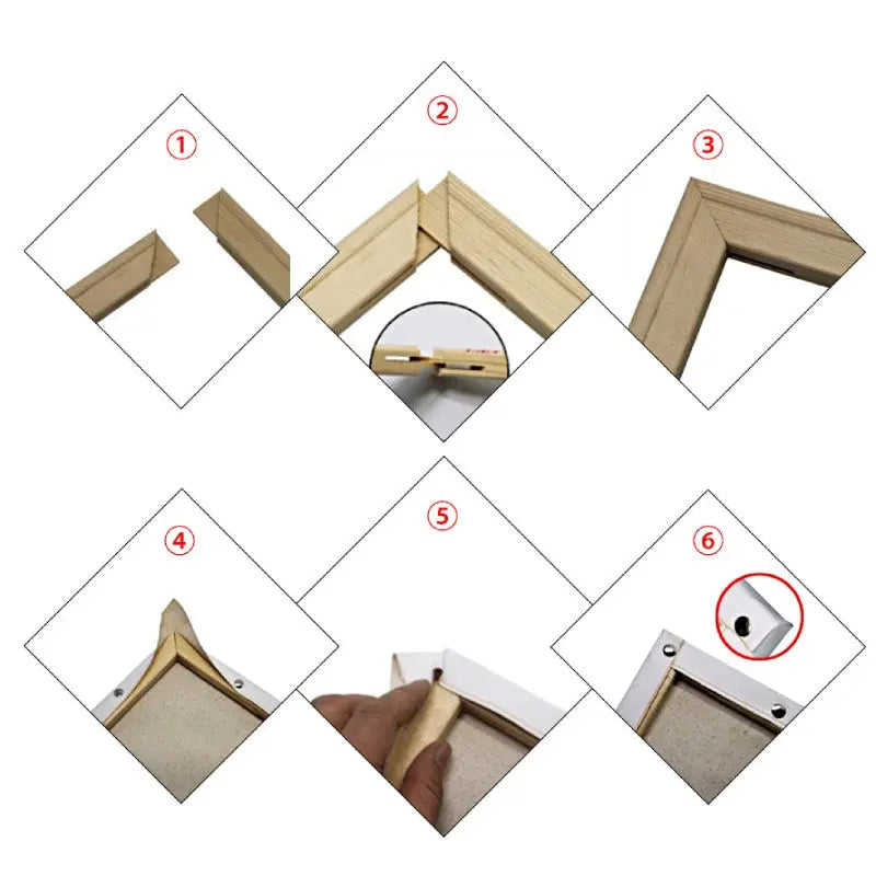 Peinture par Numéro Chat curieux - Vraiment-chat