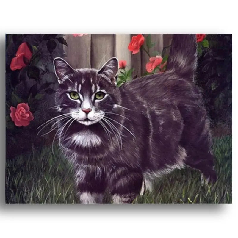 Peinture par Numéro Chat dans le Jardin - Vraiment-chat