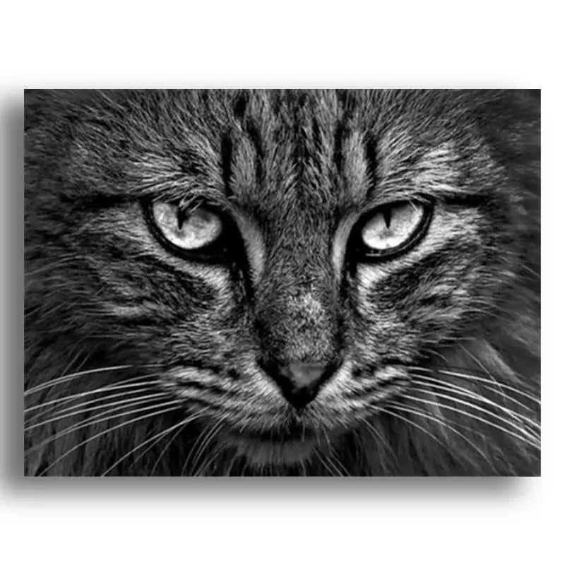 Peinture par Numéro Visage de Chat - Vraiment-chat