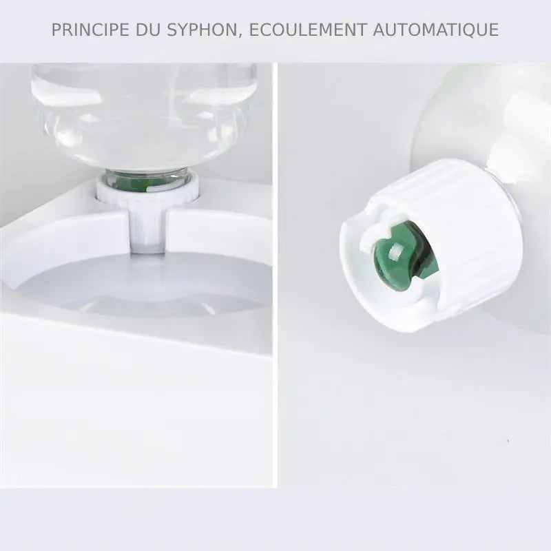 Distributeur Eau et Croquette Chat - Vraiment-chat