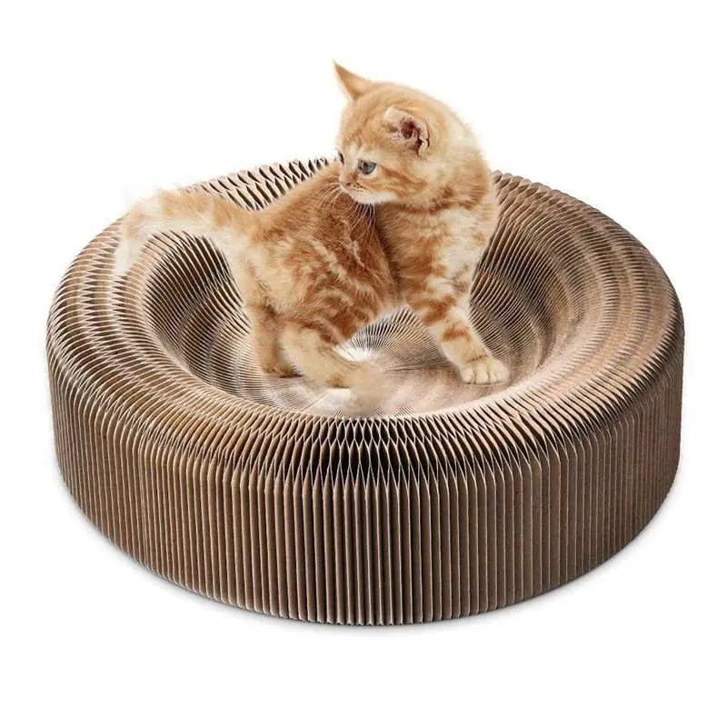 Griffoir pour Chat Design Portable - Vraiment-chat