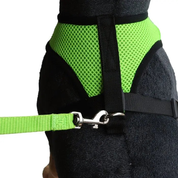 Harnais pour Chat Respirant avec sa Laisse Vraiment-chat