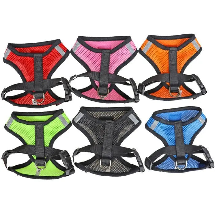 face arrière Harnais pour Chat Respirant - vraiment-chat