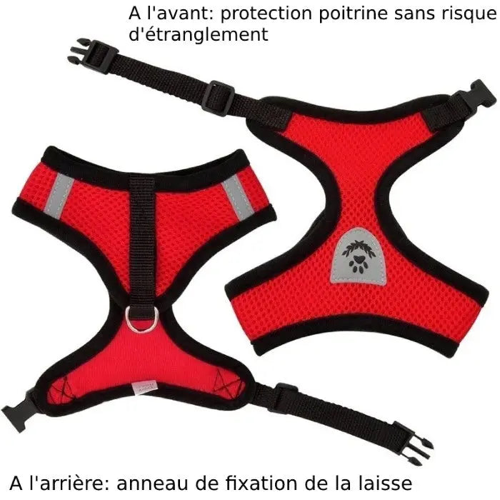 Face avant Harnais pour Chat Respirant - vraiment-chat