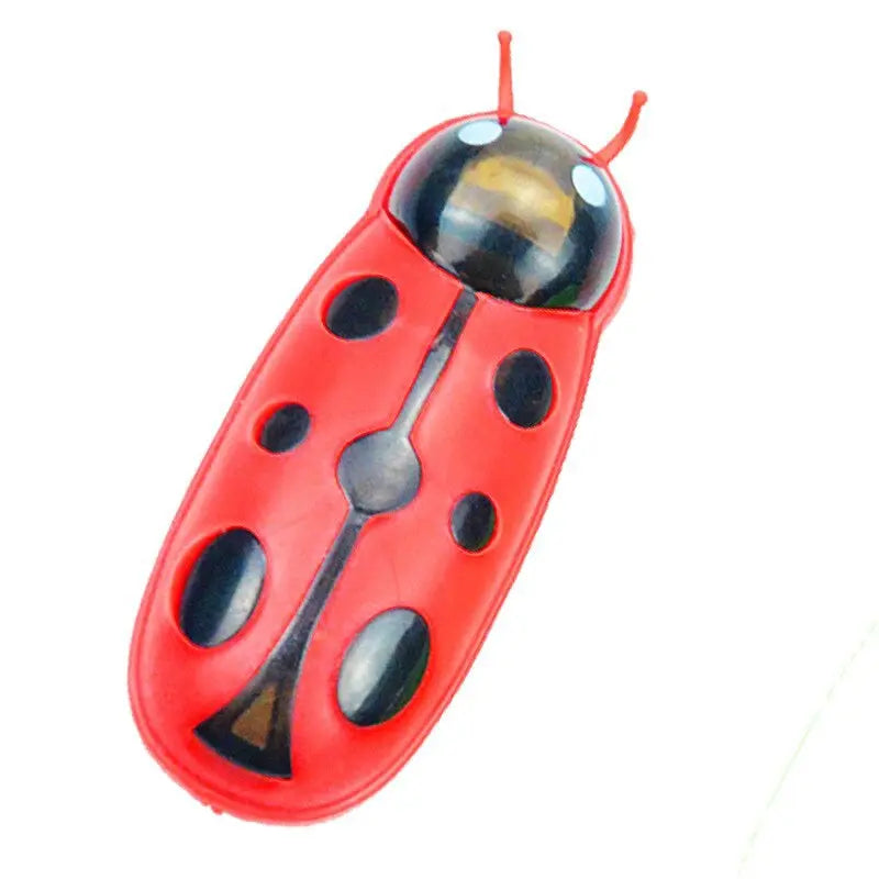 Jouet pour Chat Insecte Robot - Vraiment-chat