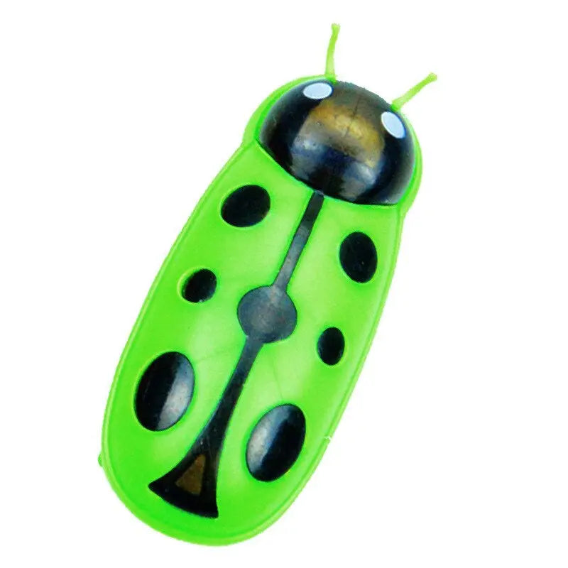 Jouet pour Chat Insecte Robot - Vraiment-chat