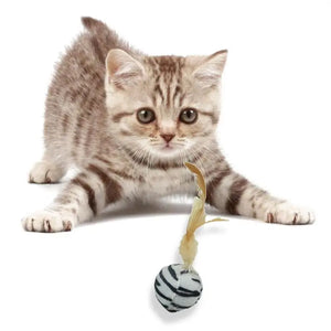 Jouet pour Chat Balle Blanche à Plumes - Vraiment-chat