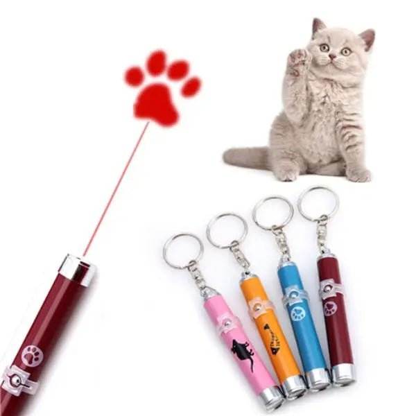 Laser LED pour chat - Vraiment-chat