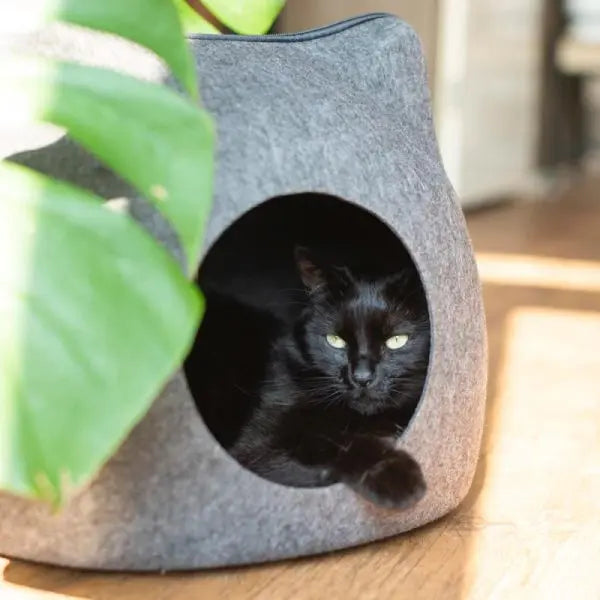 Niche Tête de Chat - Vraiment-chat