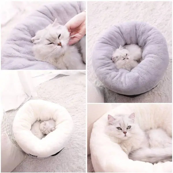 Panier pour Chat Rond - Vraiment-chat