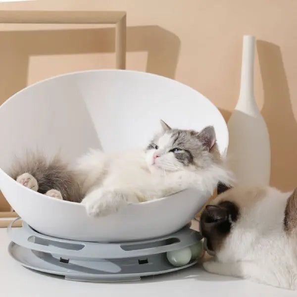 Panier pour Chat avec Circuit - Vraiment-chat