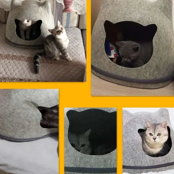 Niche à Visage de Chat - Vraiment-chat