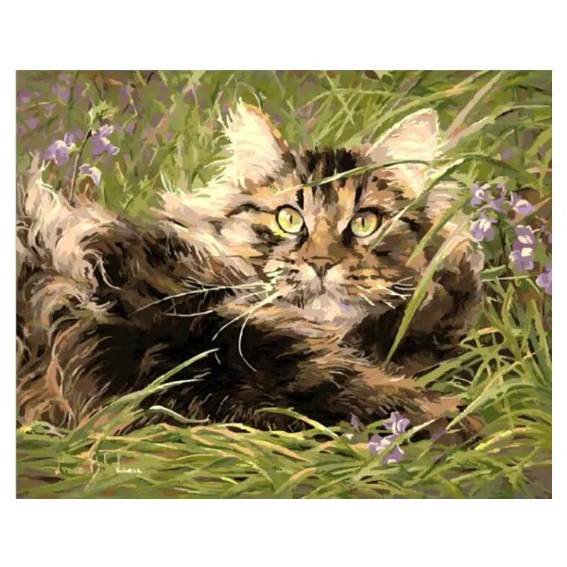 Peinture par Numéros de Chat Couché dans l'Herbe - Vraiment-chat