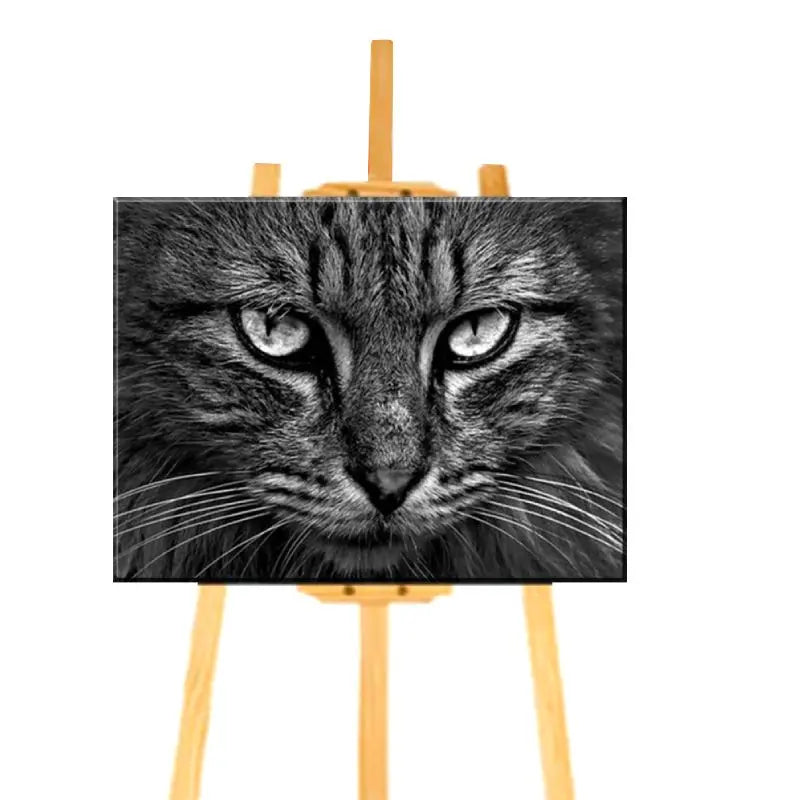 Peinture par Numéro Visage de Chat - Vraiment-chat