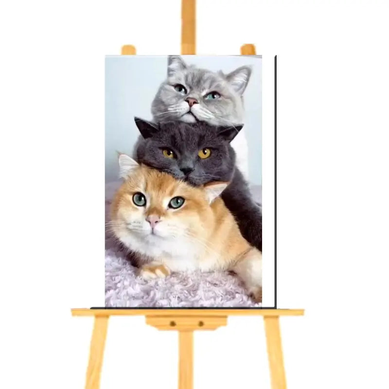 Peinture par numéro de Trois British Shorthair - Vraiment-chat