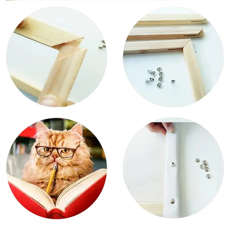 Peinture par numéro Chat qui lit Vraiment-chat