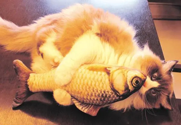 Jouet pour Chat <br/>Peluche Poisson pour Chat - Vraiment-chat