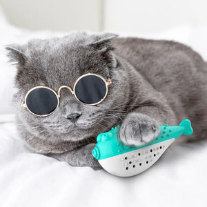 Jeu pour Chat <br/>Poisson Brosse à Dents - Vraiment-chat