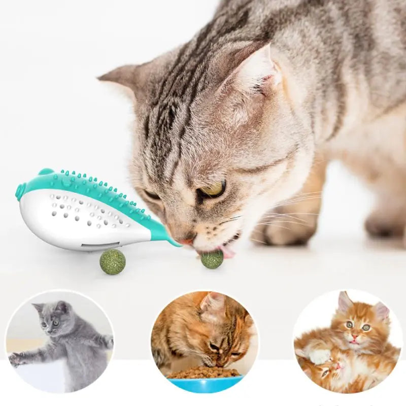 Jeu pour Chat <br/>Poisson Brosse à Dents - Vraiment-chat