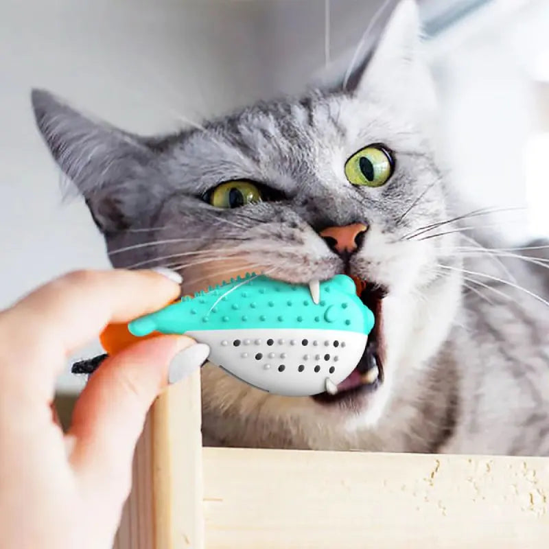 Jeu pour Chat <br/>Poisson Brosse à Dents - Vraiment-chat