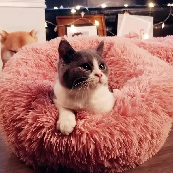 Pouf Marshmallow Chat - Vraiment-chat