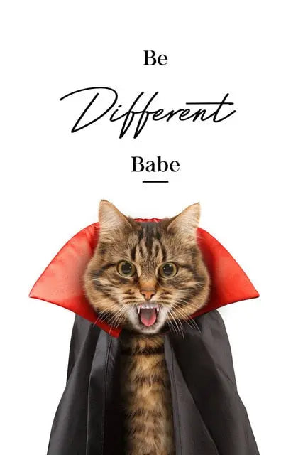 poster photo chat Vampire - Vraiment-chat