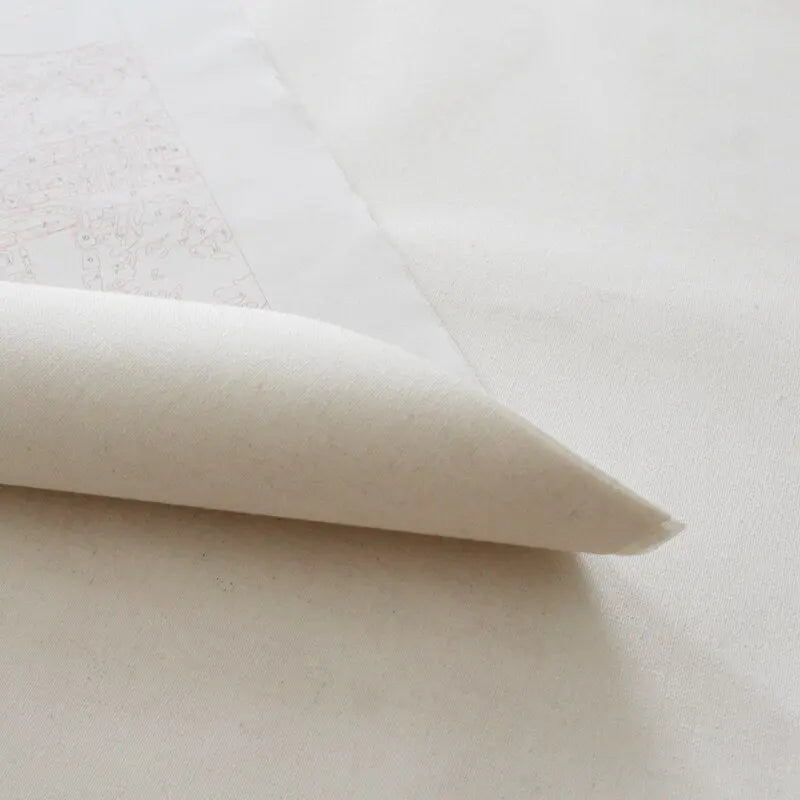 Peinture par Numéro Chat Maine Coon - Vraiment-chat