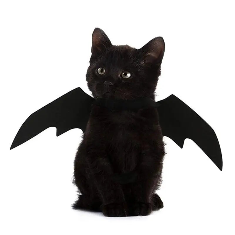 Déguisement pour Chat <br/>Ailes de Chauve-Souris - Vraiment-chat