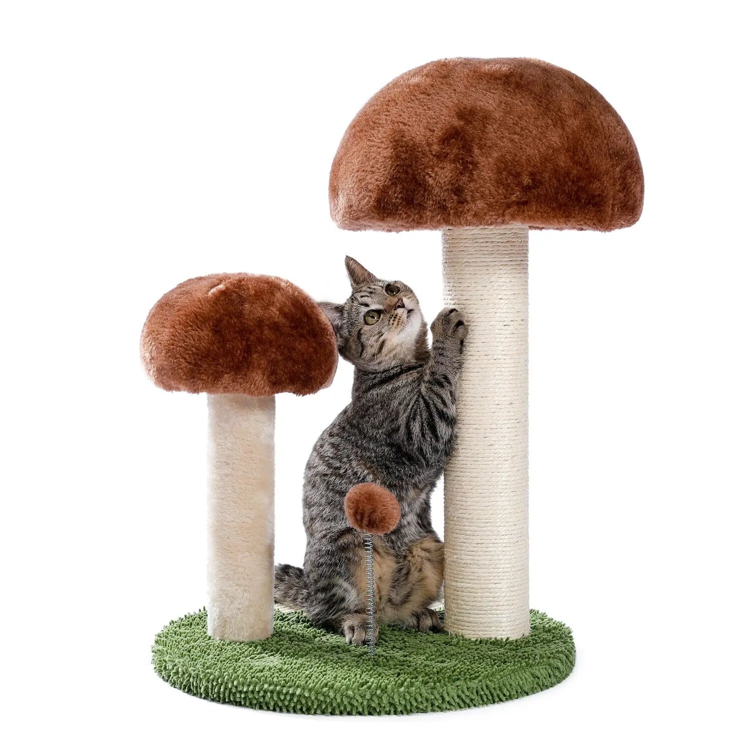 Arbre à Chat Champignon Vraiment-chat