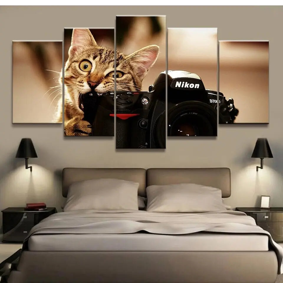 tableau chaton photographe - Vraiment-chat