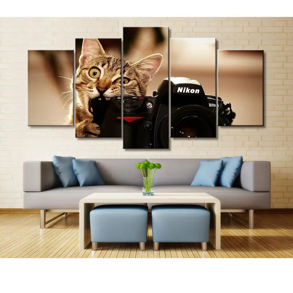 tableau chaton photographe - Vraiment-chat