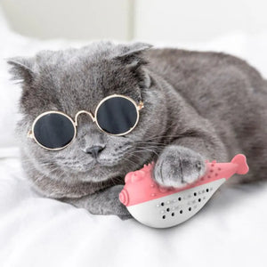 Jeu pour Chat <br/>Poisson Brosse à Dents - Vraiment-chat