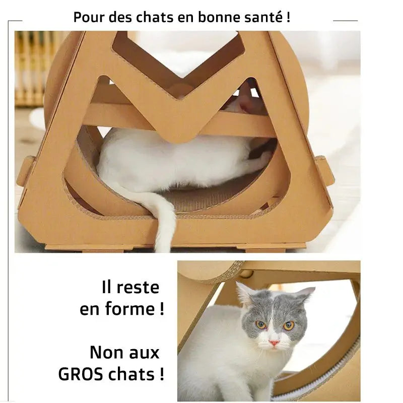 Roue pour chat - Vraiment-chat