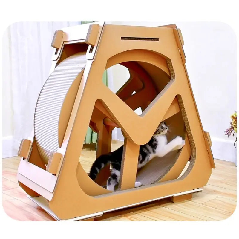Roue pour chat - Vraiment-chat